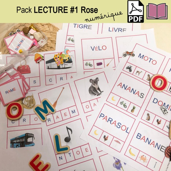 Maxi Pack Lecture numérique ; dobble + cartes pinces + mots croisés + bonus – Image 14