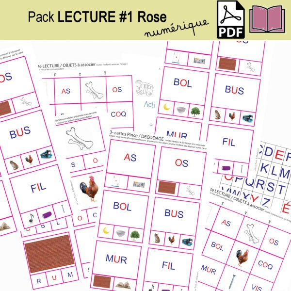 Maxi Pack Lecture numérique ; dobble + cartes pinces + mots croisés + bonus – Image 15