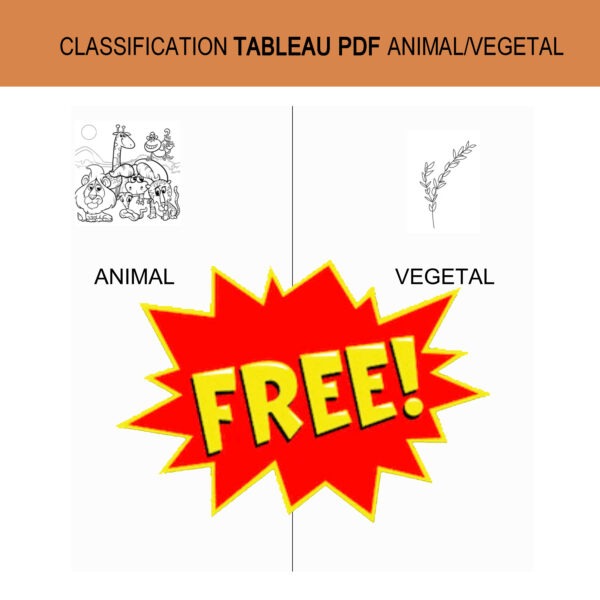 Classification Tableau pdf Animal/ Végétal