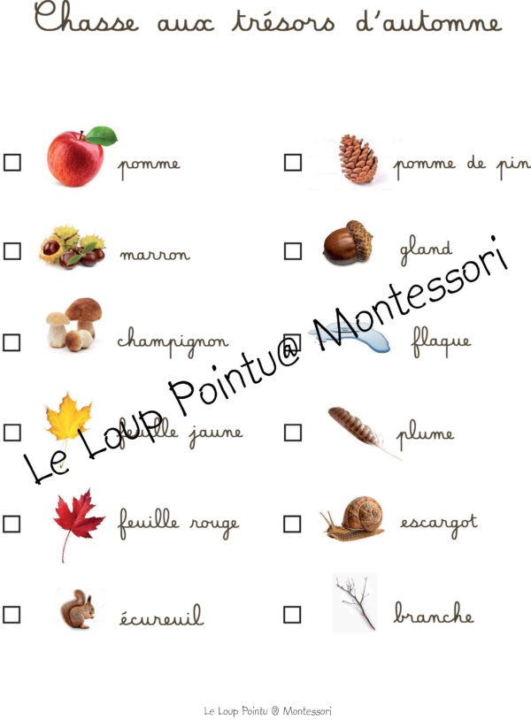 chasse aux trésors automne – Image 2