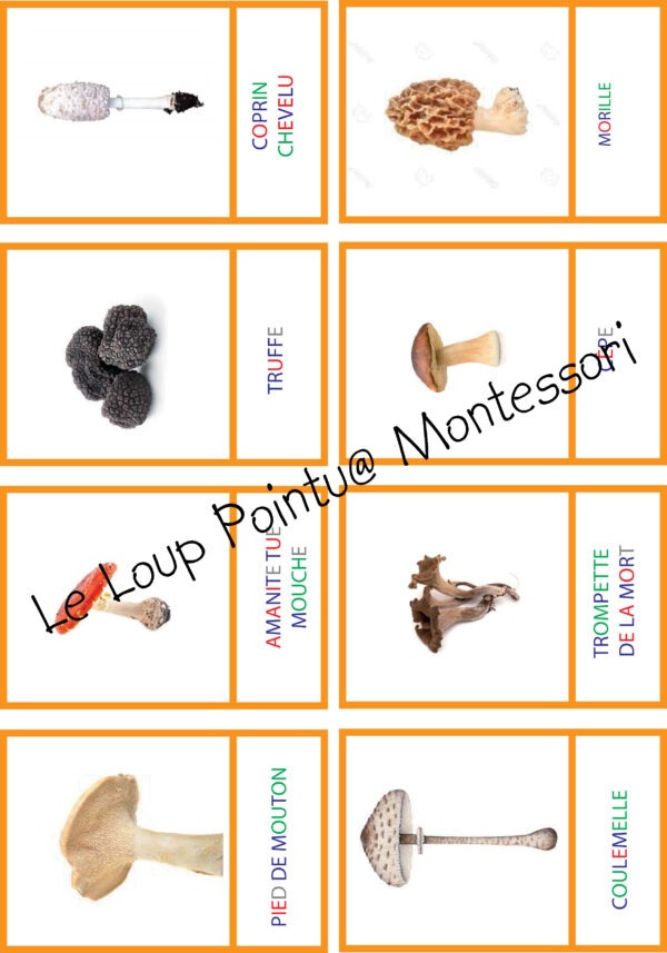 Dobble champignons - numérique – Image 4