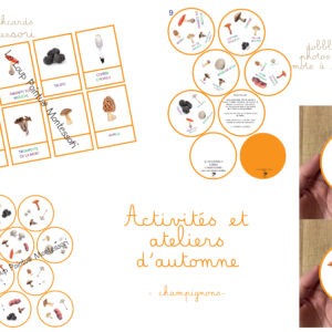 Dobble champignons - numérique
