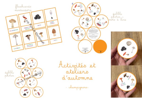 Dobble champignons - numérique