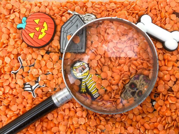 Halloween, cherche et trouve +15 objets – Image 3